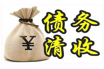 网络平台可否发起欠款诉讼？